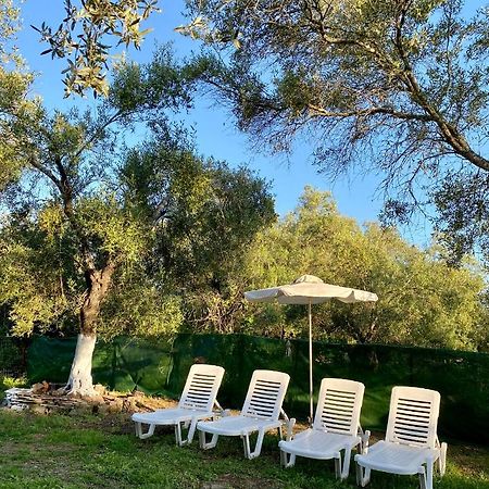 Perivólion Endless Green: Feel Free And Cozy In Nature מראה חיצוני תמונה