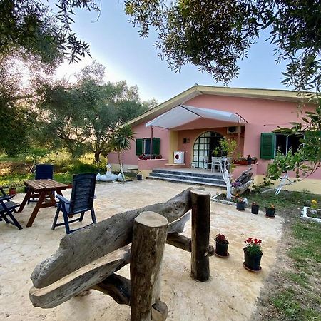 Perivólion Endless Green: Feel Free And Cozy In Nature מראה חיצוני תמונה
