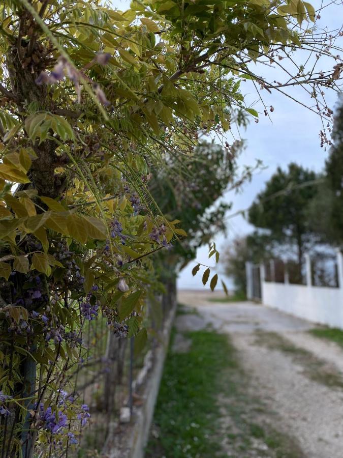 Perivólion Endless Green: Feel Free And Cozy In Nature מראה חיצוני תמונה